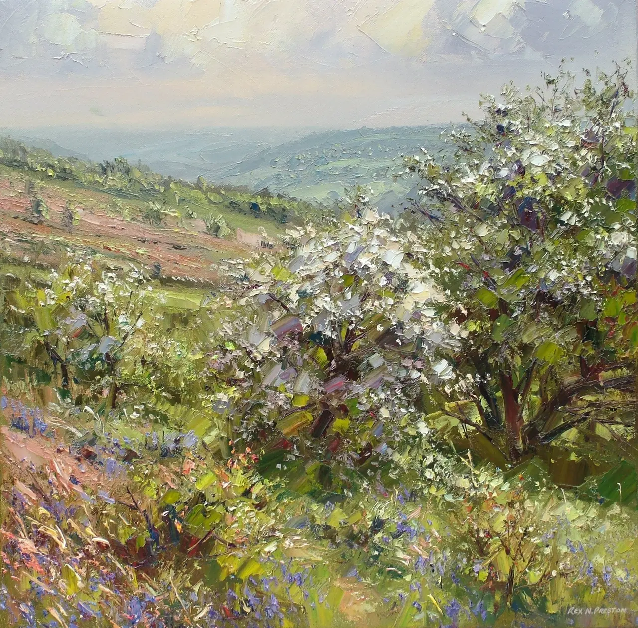 Rex Preston - mayblossom, below curbar edge