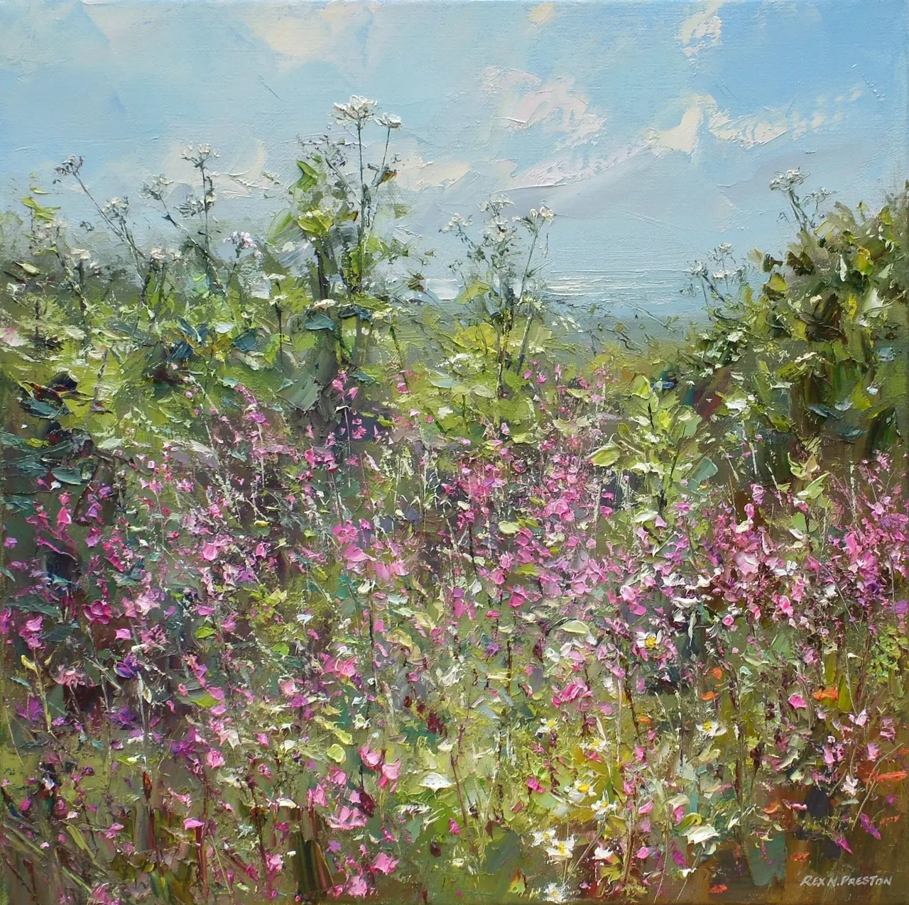 Rex Preston - cornish garden