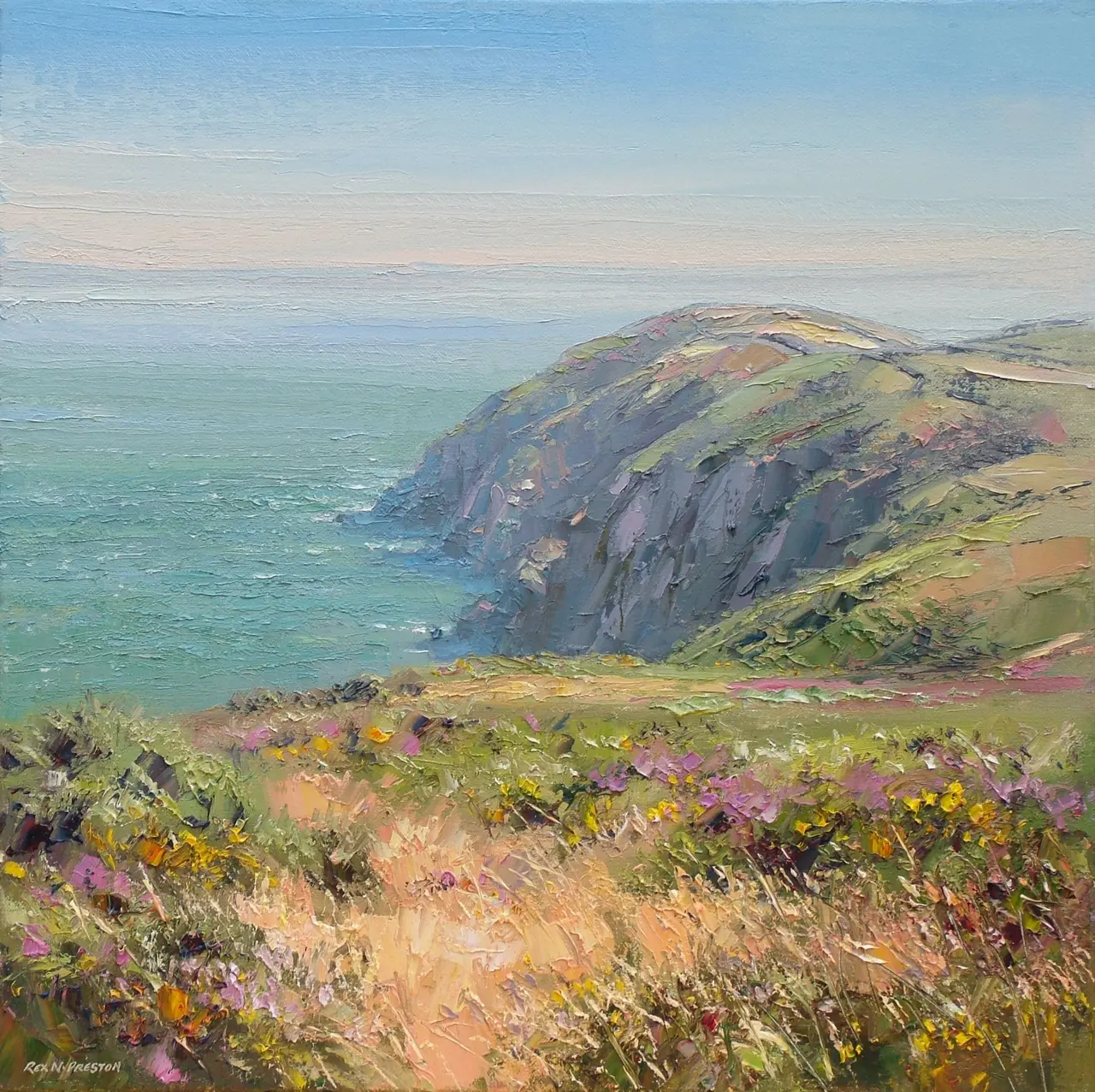 Rex Preston - morning light, trentishoe downs, north devon