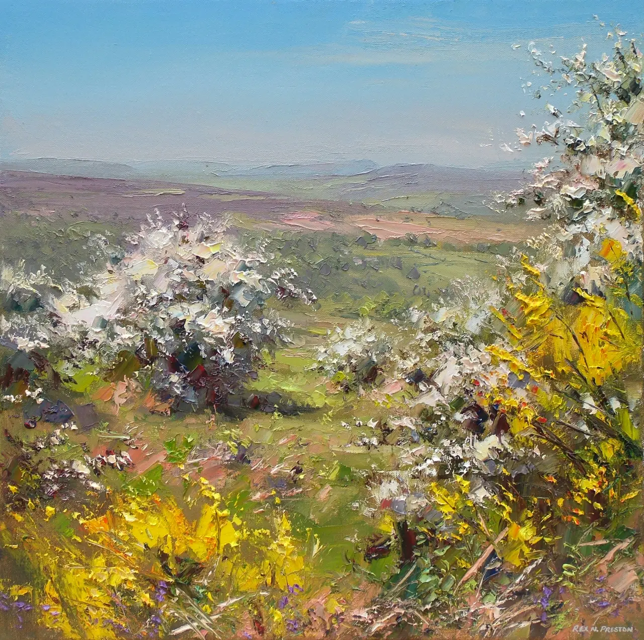 Rex Preston - mayblossom and broom, hope valley