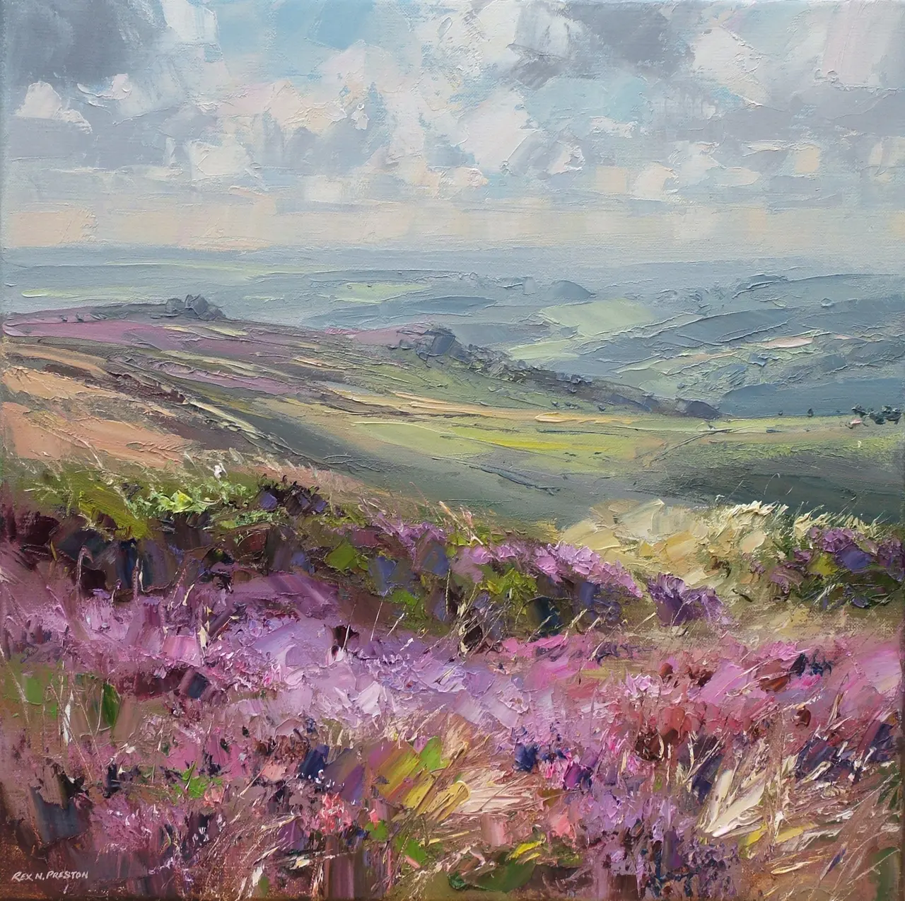 Rex Preston - cloud shadows, stanage moor