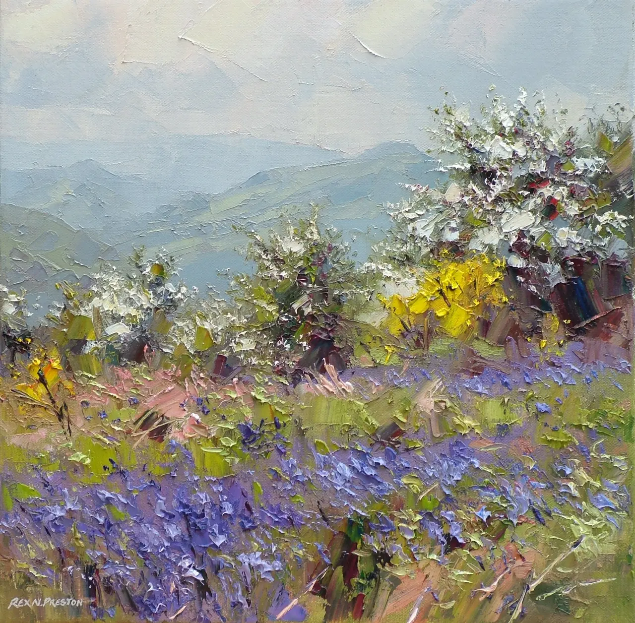 Rex Preston - spring flowers, hope valley