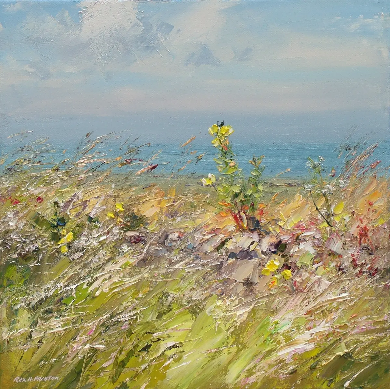 Rex Preston - summer breeze, cornwall