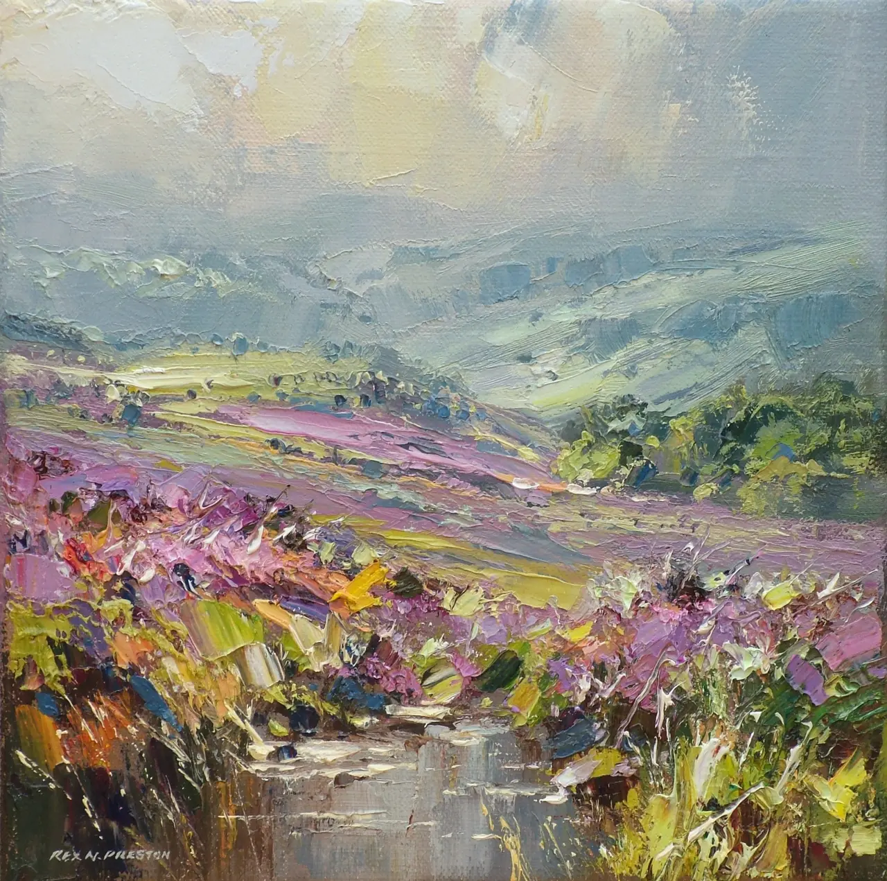 Rex Preston - sunlight, beeley moor