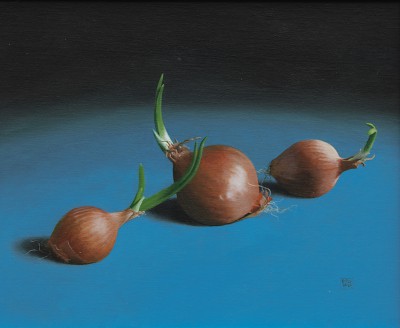 British Artist David GLEESON - Onions
