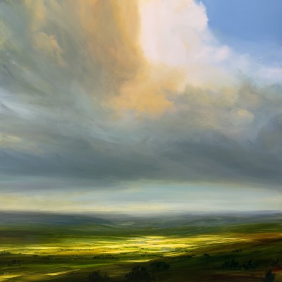 Harry BRIOCHE - Fields of Gold