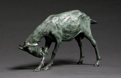 Sculpture and Sculptors Artist Stuart ANDERSON - Goat (Scratching Front Leg) 3/15