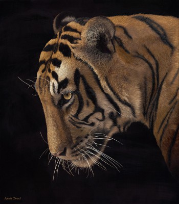 British Artist Annie DREW - Isolated